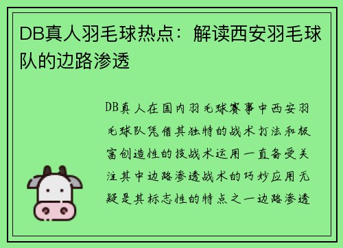 DB真人羽毛球热点：解读西安羽毛球队的边路渗透